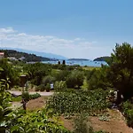 Simicic B Apartment *